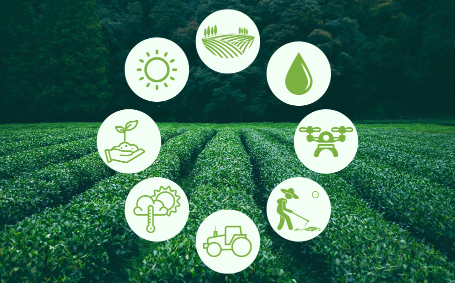 ilustração que trás as atividades realizadas pelo setor de agronegócio